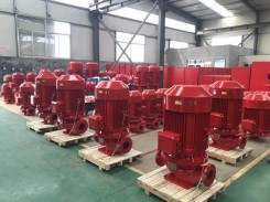 保定(dìng)XBD立式消(xiao)防泵