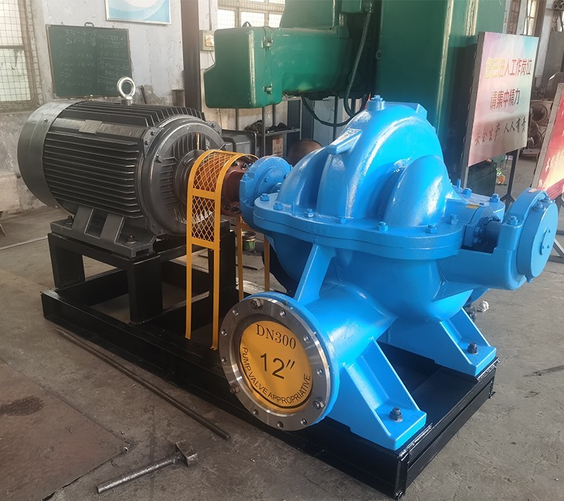 雙吸(xī)泵 雙吸泵(bèng)