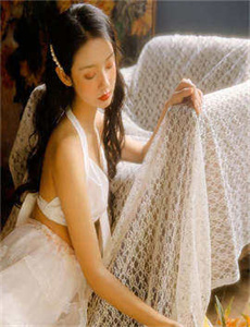 手机赘婿电视剧