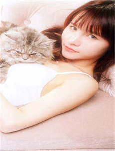 全职猎人ova