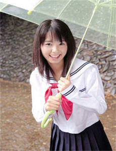 芝麻胡同 电视剧