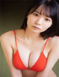 云淡天高电视剧全集