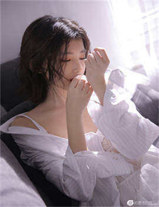 廉政行动2004国语