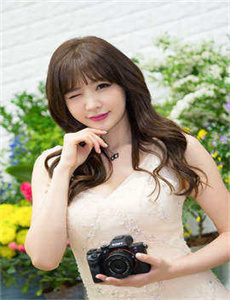 《赘婿》免费